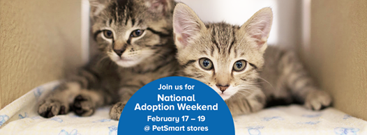 Adoptathon Weekend February 18th and 19th!