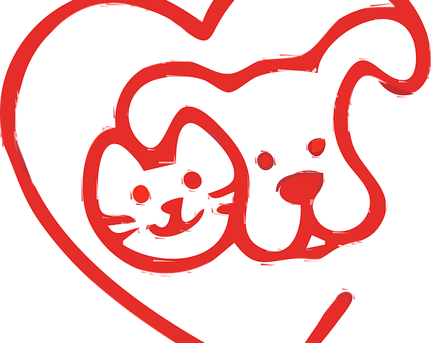 Share your love this Valentine’s Day with the animals of HHAS!