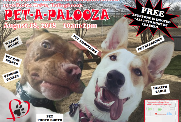 Reminder: HHAS at Pet-A-Palooza this Saturday, August 18th!