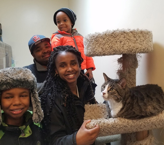 Cat with adopting family: Hector