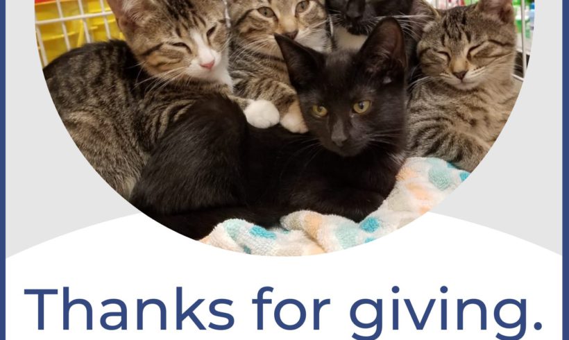 Giving Thanks to All Who Made Giving Tuesday Special!