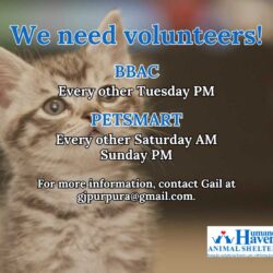 Calling ‘pspsps’ for volunteers!