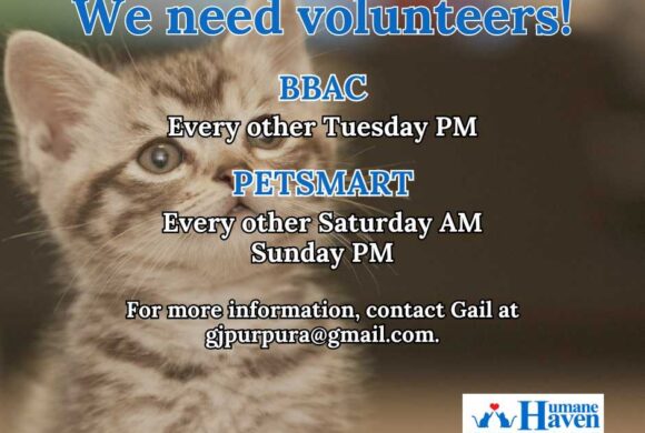 Calling ‘pspsps’ for volunteers!