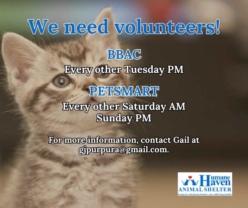 Calling ‘pspsps’ for volunteers!