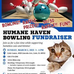 Bowling Fundraiser — March 2nd 1pm-4pm