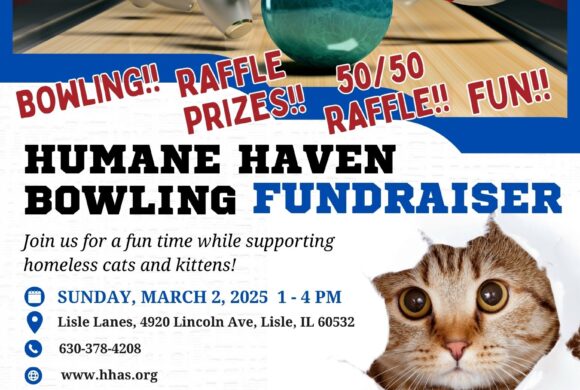 Bowling Fundraiser — March 2nd 1pm-4pm