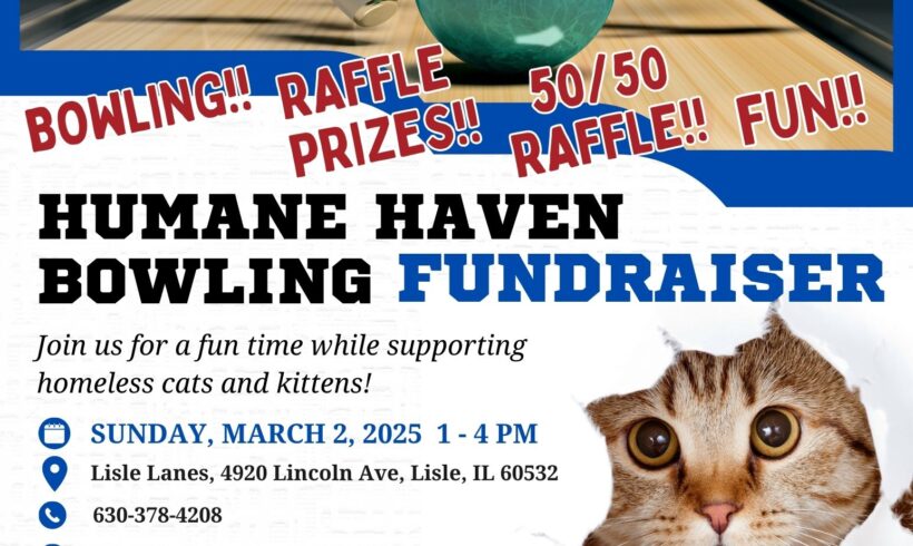 Bowling Fundraiser — March 2nd 1pm-4pm